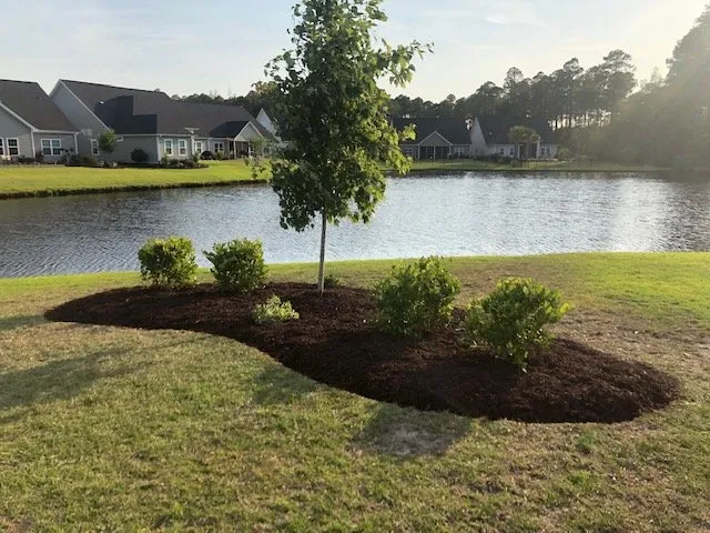 Custom landscape design in Conway, SC - Hills Cutting Edge