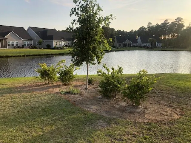 Trusted landscape installation for residential properties across Conway, SC - Hills Cutting Edge
