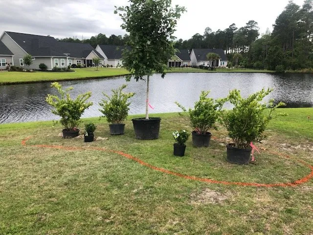 Reliable lawn mowing service for year-round maintenance in Conway, SC by Hills Cutting Edge