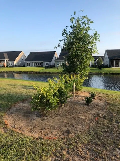 Trusted yard cleanup service in Conway, SC - Hills Cutting Edge