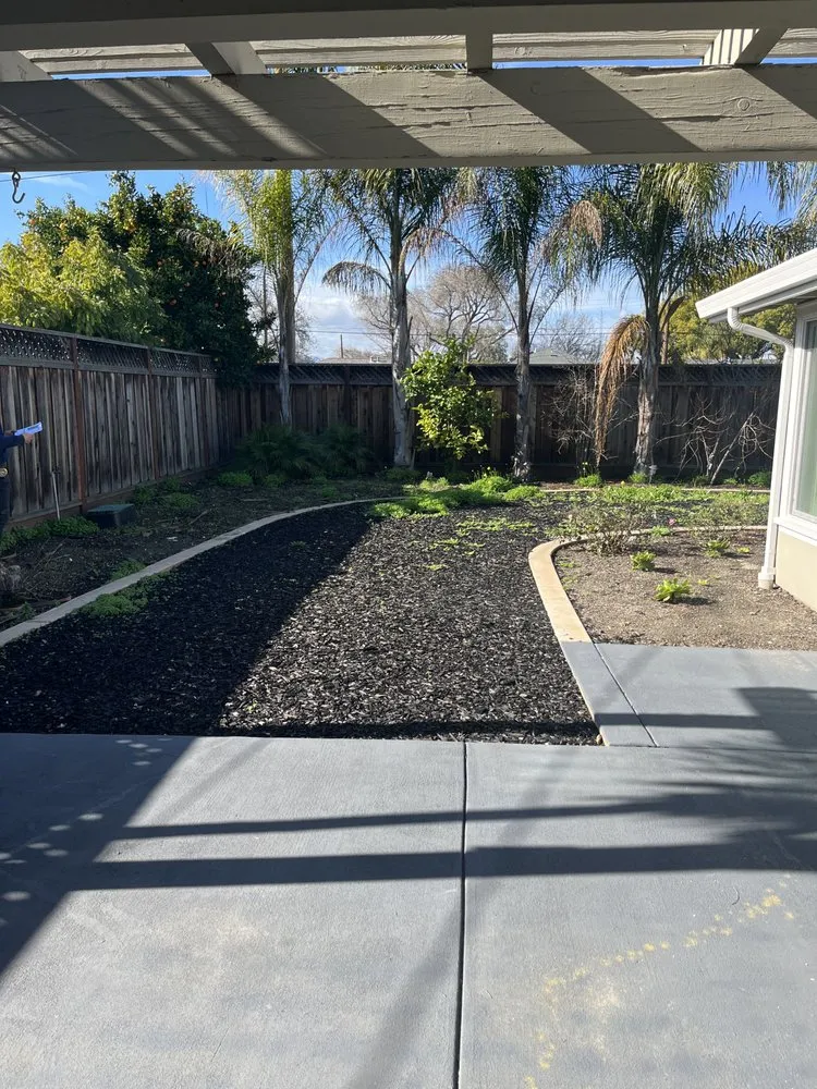 Expert landscaping services in Campbell, CA - Hills Landscaping