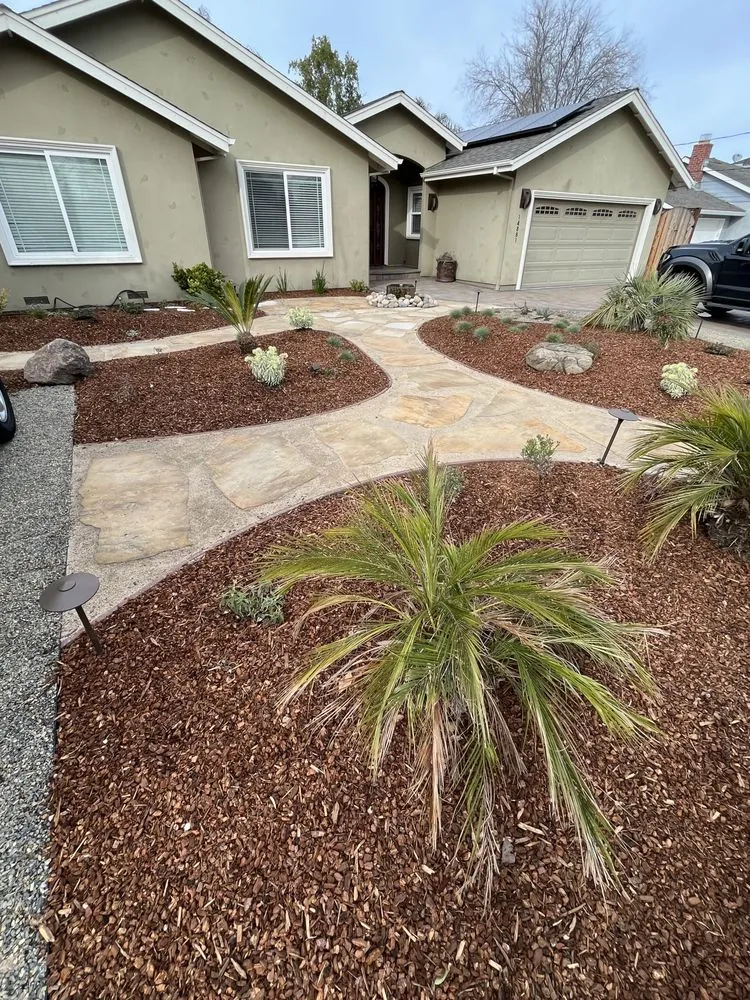 Reliable outdoor landscaping for beautiful yards in Campbell, CA by Hills Landscaping