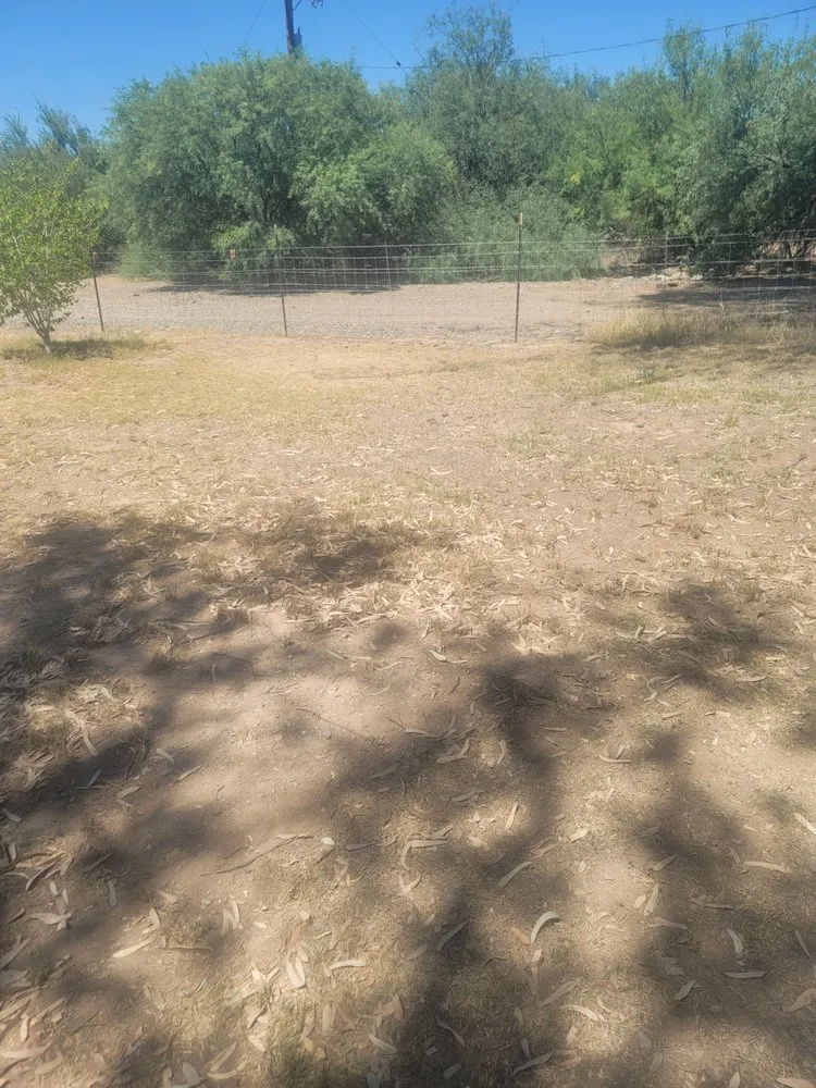 Expert landscape installation in Winkelman, AZ by Hills Landscaping