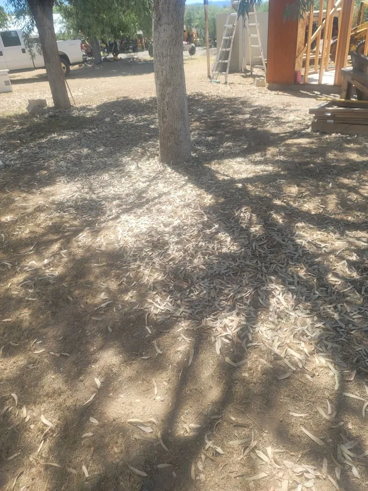 Local yard cleanup service for residential properties in Winkelman, AZ by Hills Landscaping