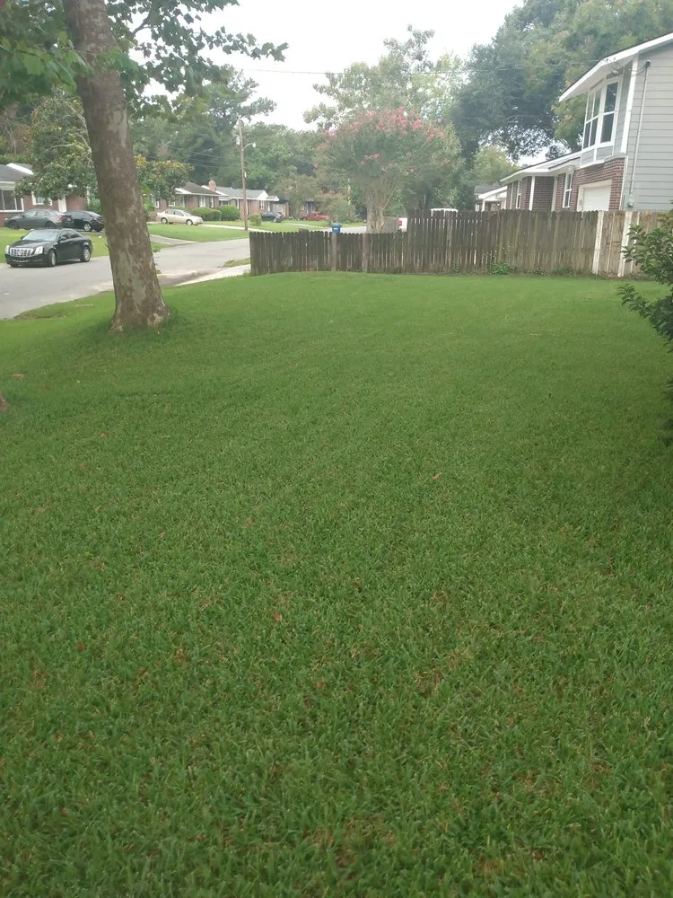 Professional lawn care service in New Kensington, PA by Hills Lawn and Garden