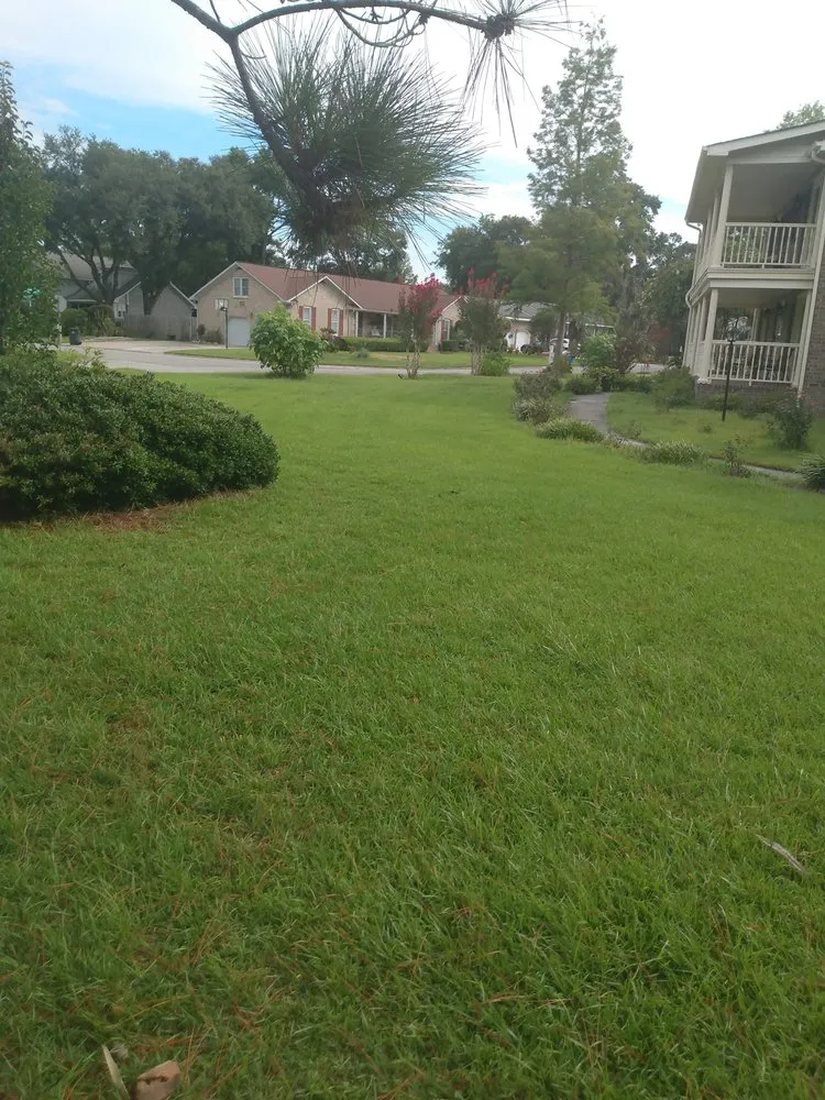 Affordable residential landscaping experts serving New Kensington, PA - Hills Lawn and Garden