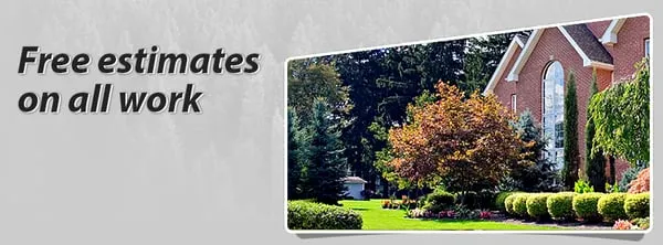 Hills Lawn and Grounds Care Logo