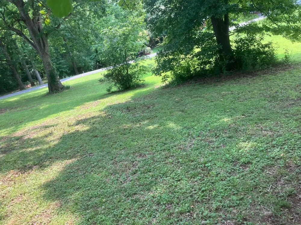 Expert outdoor landscaping in Lexington, NC - Hills Lawn Care And Tree Work