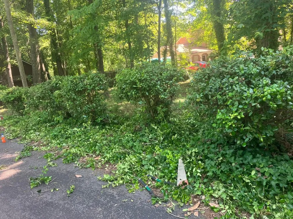 Custom yard maintenance in Lexington, NC by Hills Lawn Care And Tree Work