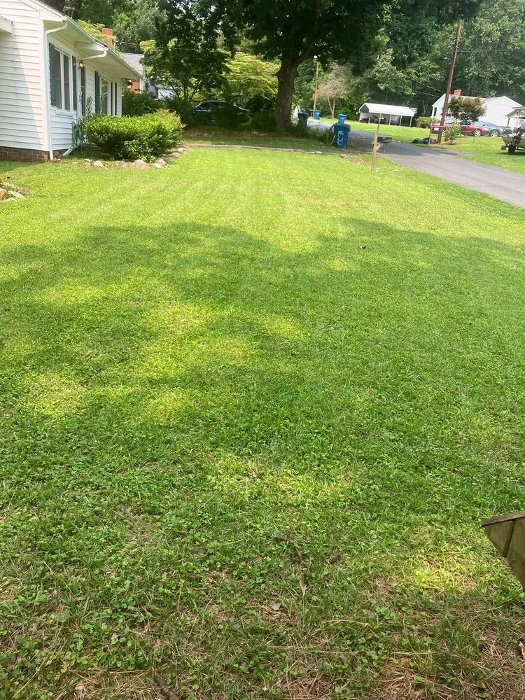 Reliable outdoor landscaping in Lexington, NC by Hills Lawn Care And Tree Work