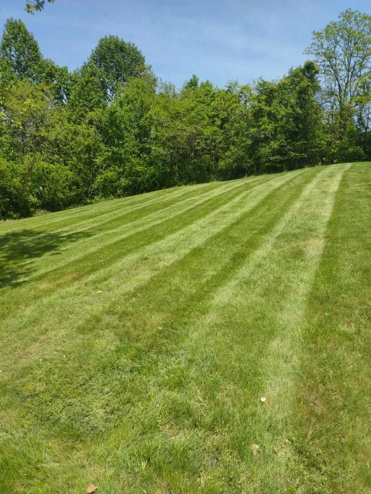 Top-rated landscape installation experts serving Church Hill, TN - Hill’s Lawn Care