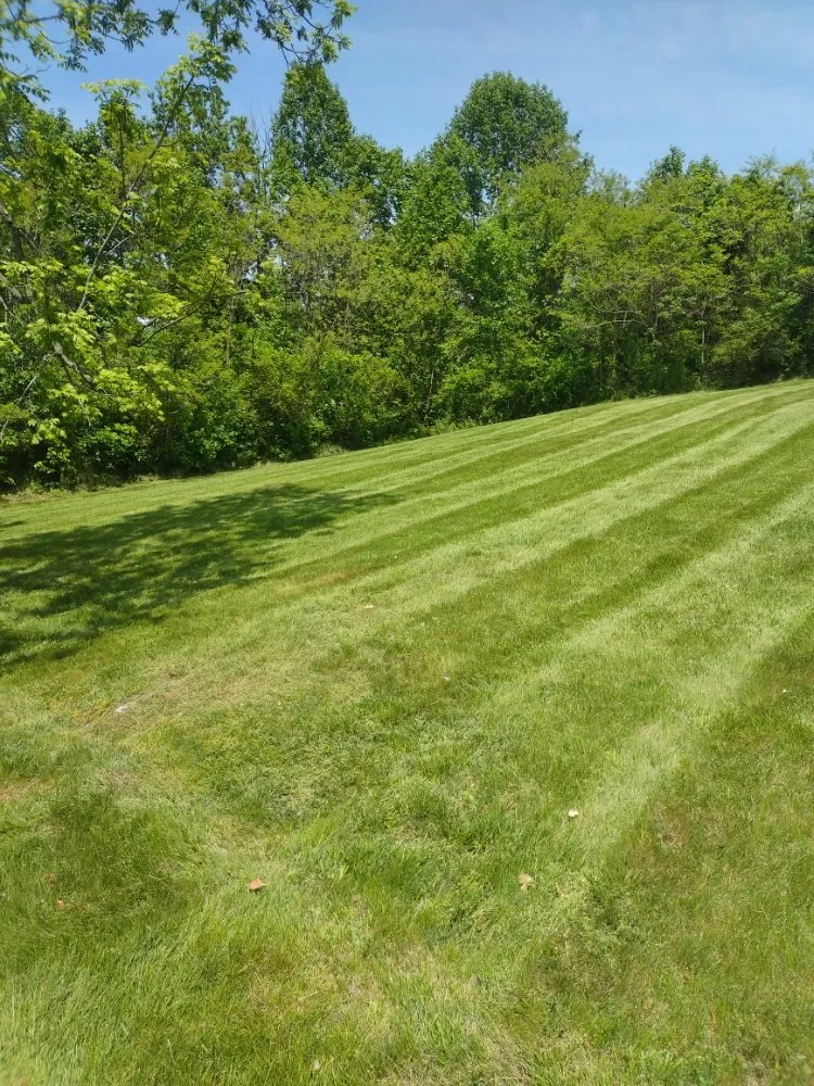 Local landscaping services experts serving Church Hill, TN - Hill’s Lawn Care