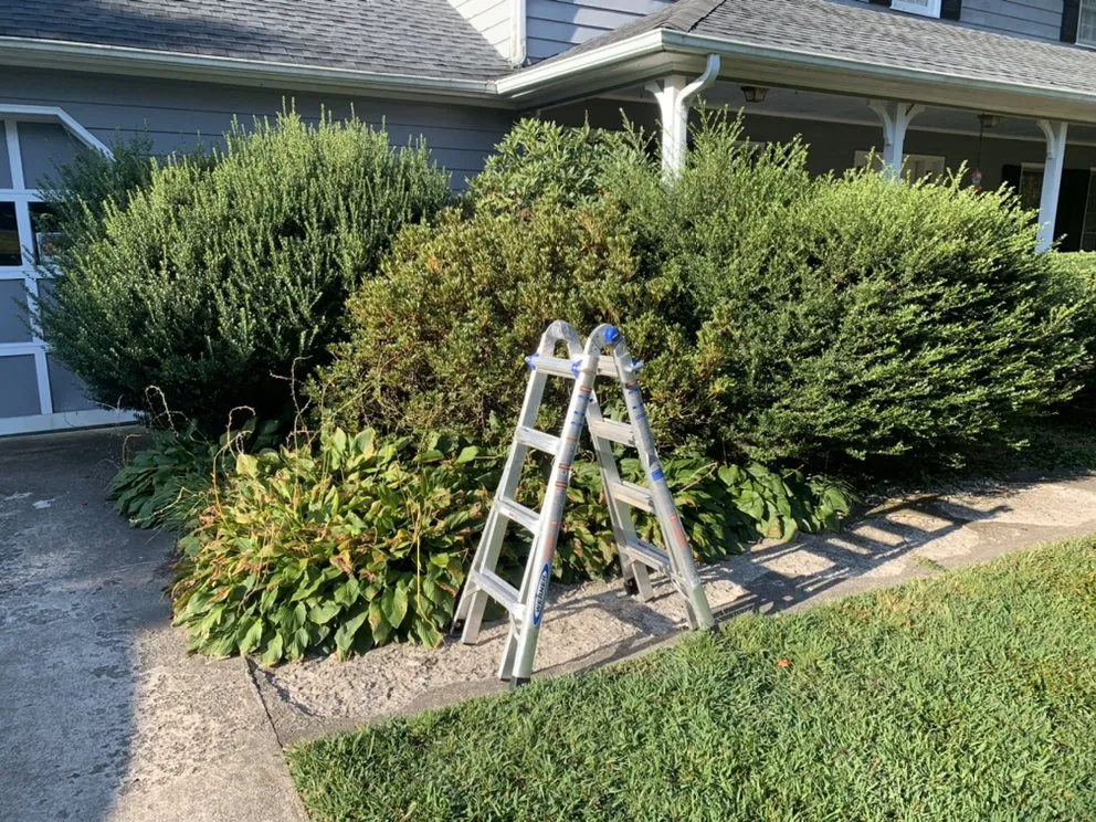 Affordable yard cleanup service experts serving Gold Hill, NC - Hills Lawn Service