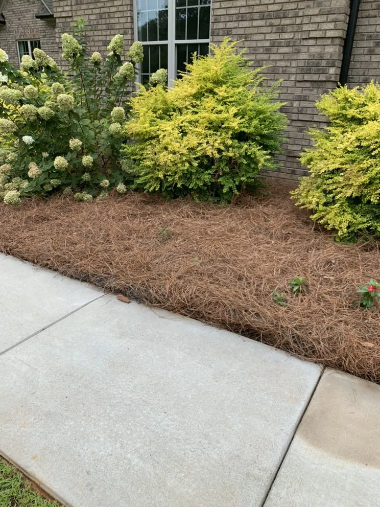 Expert landscape installation experts serving Gold Hill, NC - Hills Lawn Service