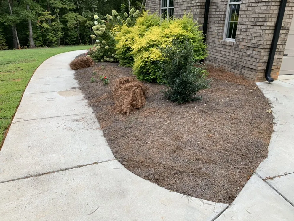 Affordable yard cleanup service for residential properties across Gold Hill, NC - Hills Lawn Service