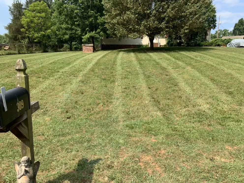 Custom yard maintenance for outdoor upgrades in Gold Hill, NC by Hills Lawn Service