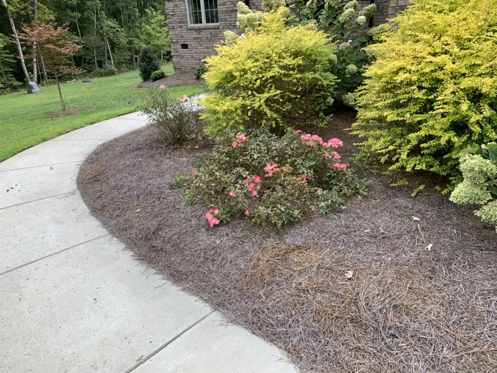 Expert landscaping services near you in Gold Hill, NC by Hills Lawn Service