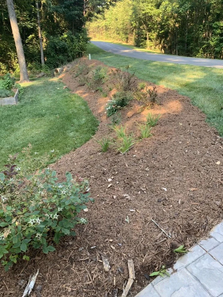 Trusted lawn care service in Gold Hill, NC by Hills Lawn Service