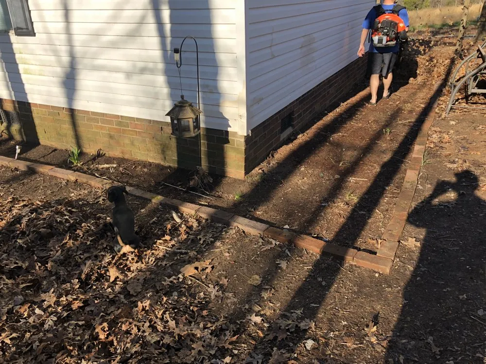 Top-rated outdoor landscaping experts serving Gold Hill, NC - Hills Lawn Service