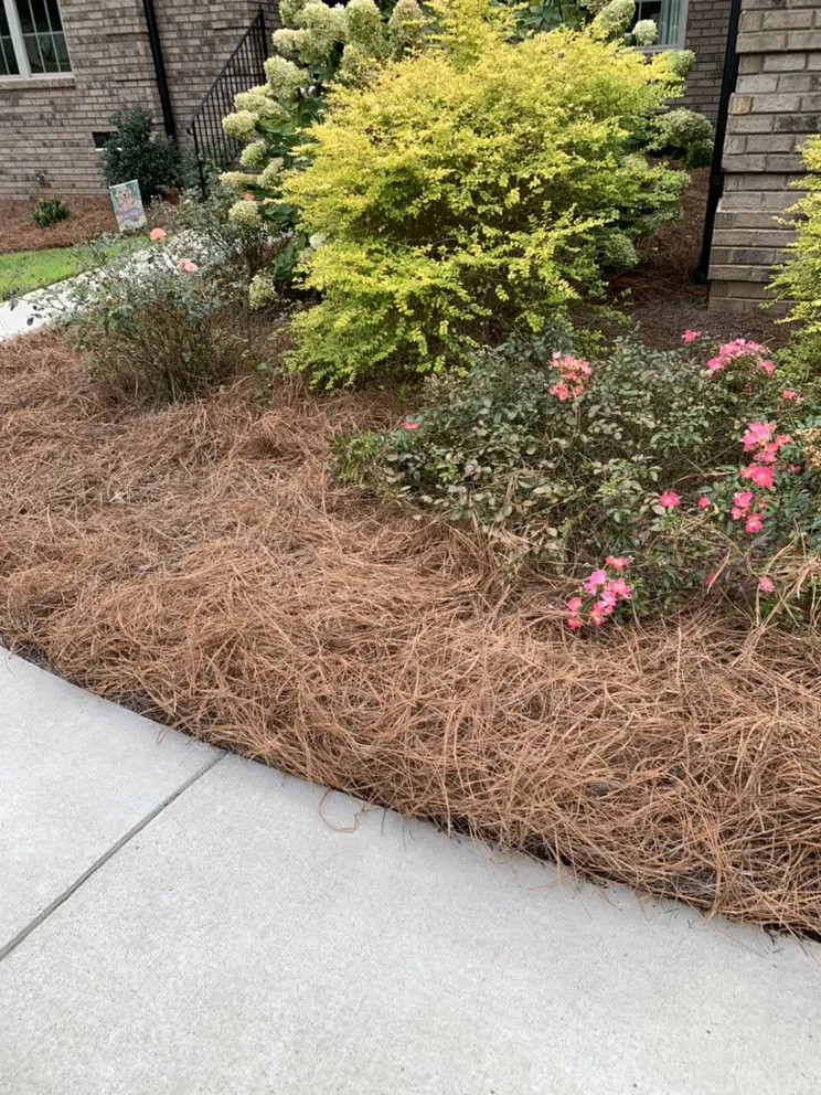 Expert lawn mowing service in Gold Hill, NC by Hills Lawn Service