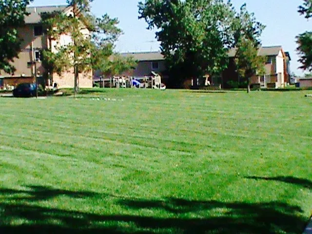 Reliable lawn care service experts serving Loveland, CO - Hill's Mowing Service
