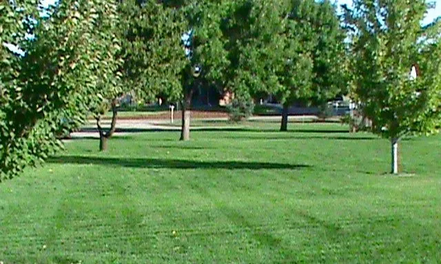 Professional landscape installation in Loveland, CO by Hill's Mowing Service