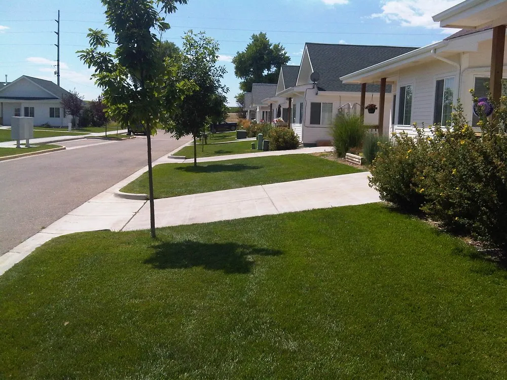 Expert yard cleanup service experts serving Loveland, CO - Hill's Mowing Service