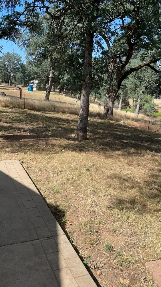 Trusted yard maintenance in Redding, CA - Hill’s Precision Landscape