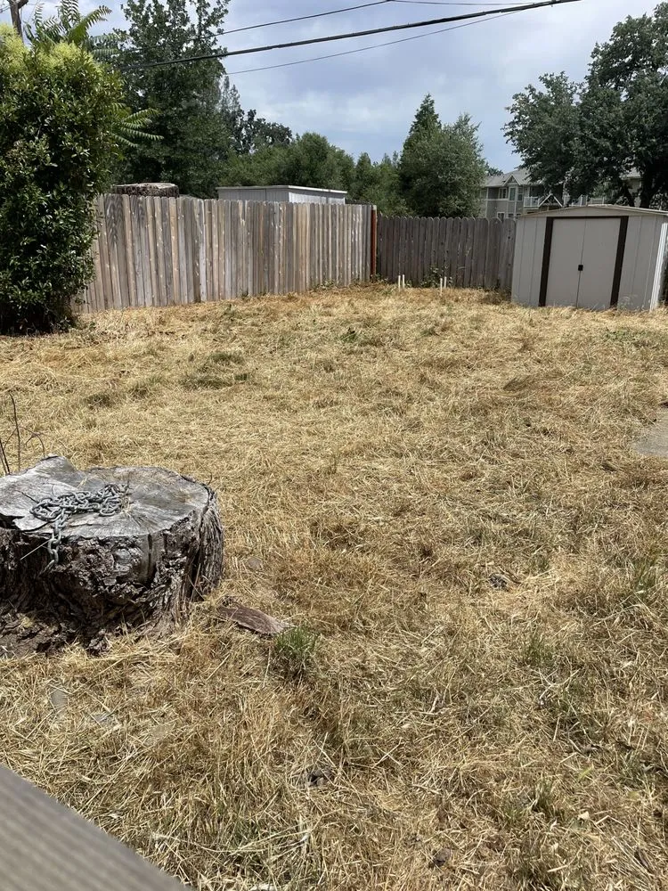 Trusted yard cleanup service in Redding, CA by Hill’s Precision Landscape