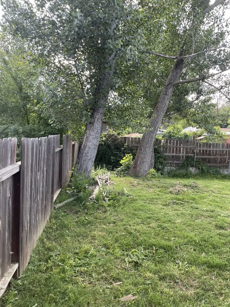 Reliable yard cleanup service experts serving Redding, CA - Hill’s Precision Landscape