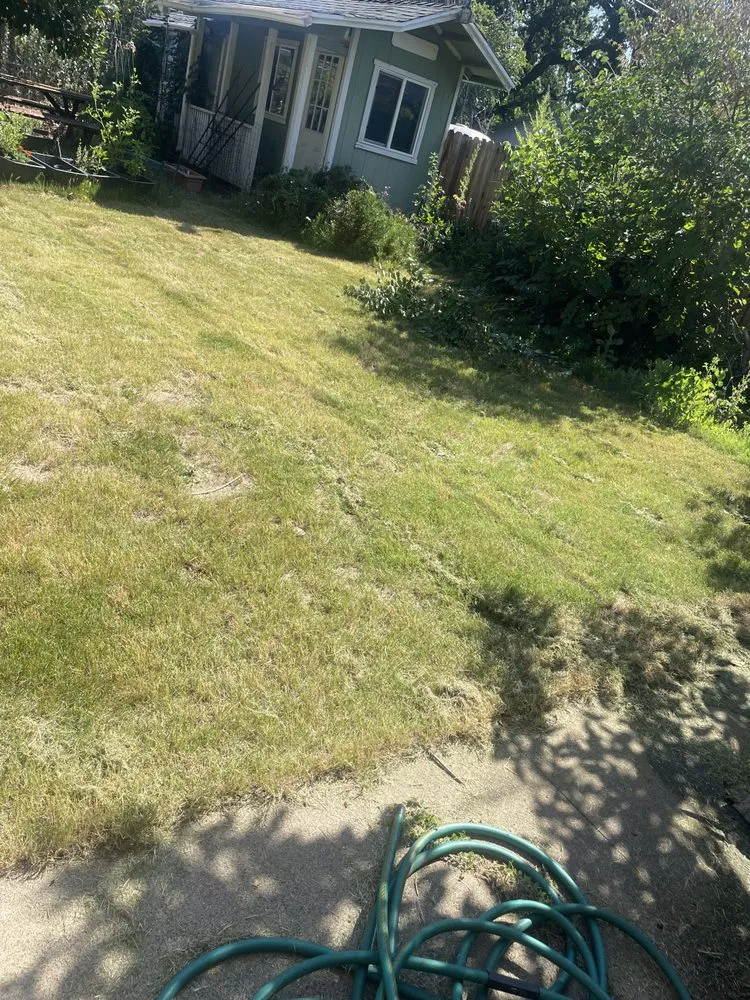 Expert landscape installation in Redding, CA by Hill’s Precision Landscape