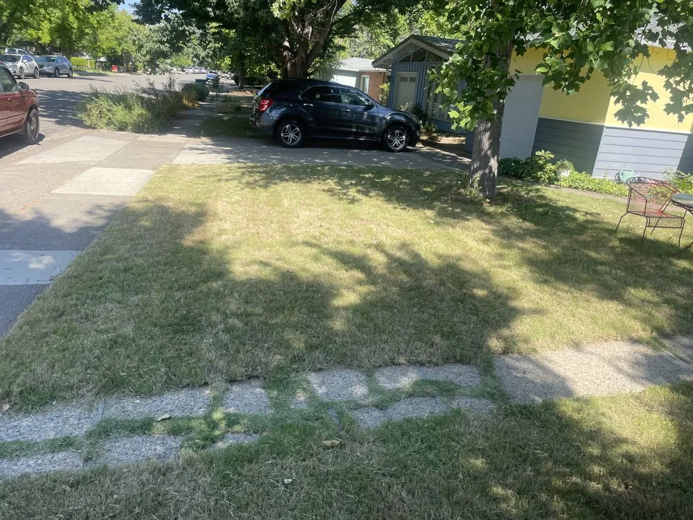 Trusted landscape design in Redding, CA - Hill’s Precision Landscape