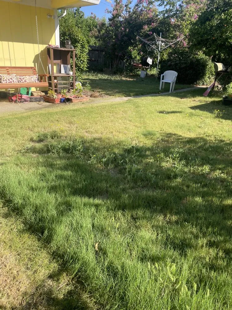 Affordable outdoor landscaping in Redding, CA by Hill’s Precision Landscape