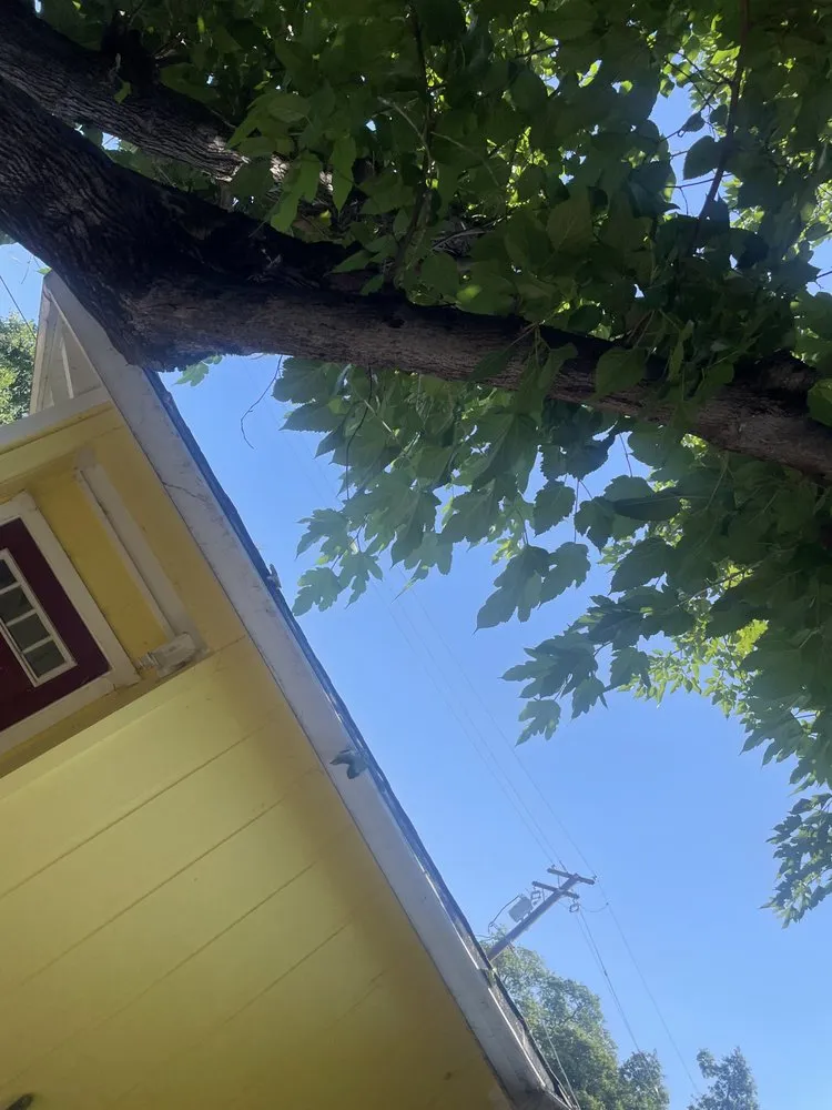 Custom landscape design in Redding, CA by Hill’s Precision Landscape