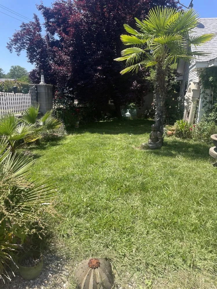 Affordable landscape installation experts serving Redding, CA - Hill’s Precision Landscape