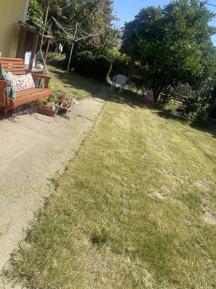 Top-rated lawn mowing service in Redding, CA - Hill’s Precision Landscape