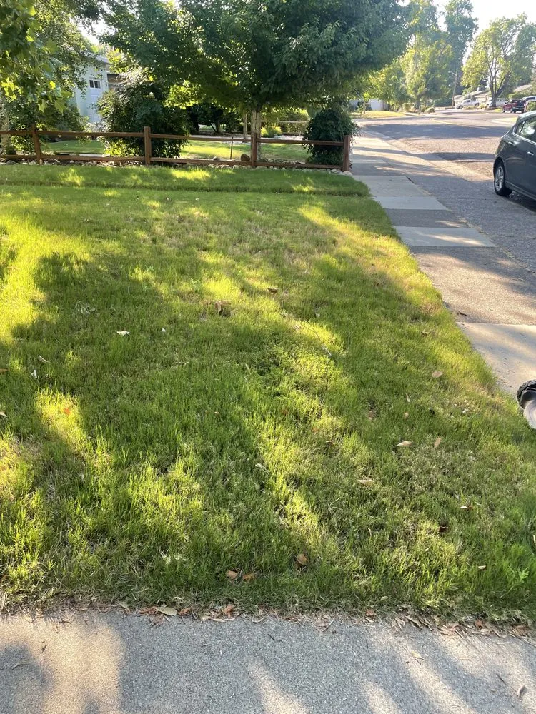 Expert yard maintenance for year-round maintenance across Redding, CA - Hill’s Precision Landscape