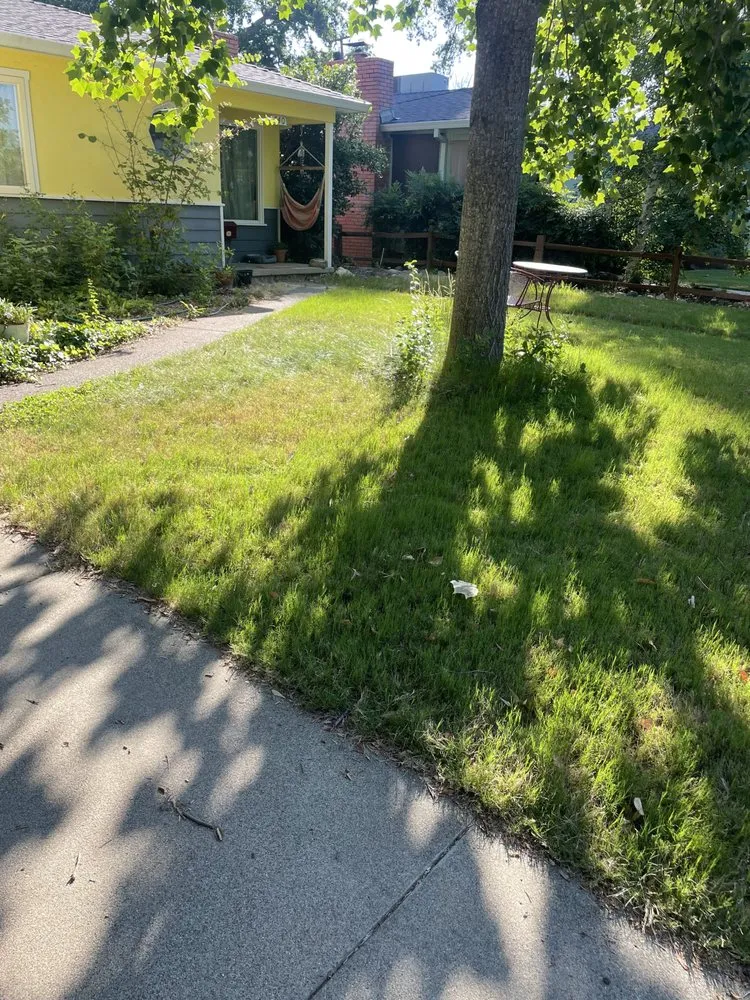 Professional yard cleanup service for year-round maintenance in Redding, CA by Hill’s Precision Landscape