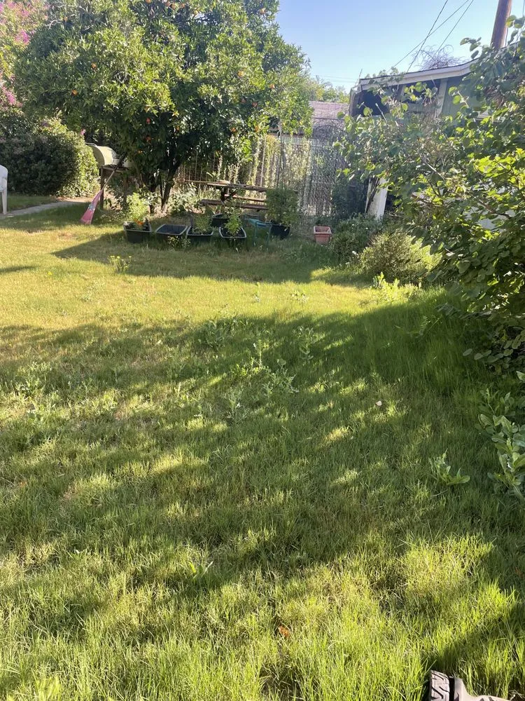 Top-rated yard maintenance experts serving Redding, CA - Hill’s Precision Landscape