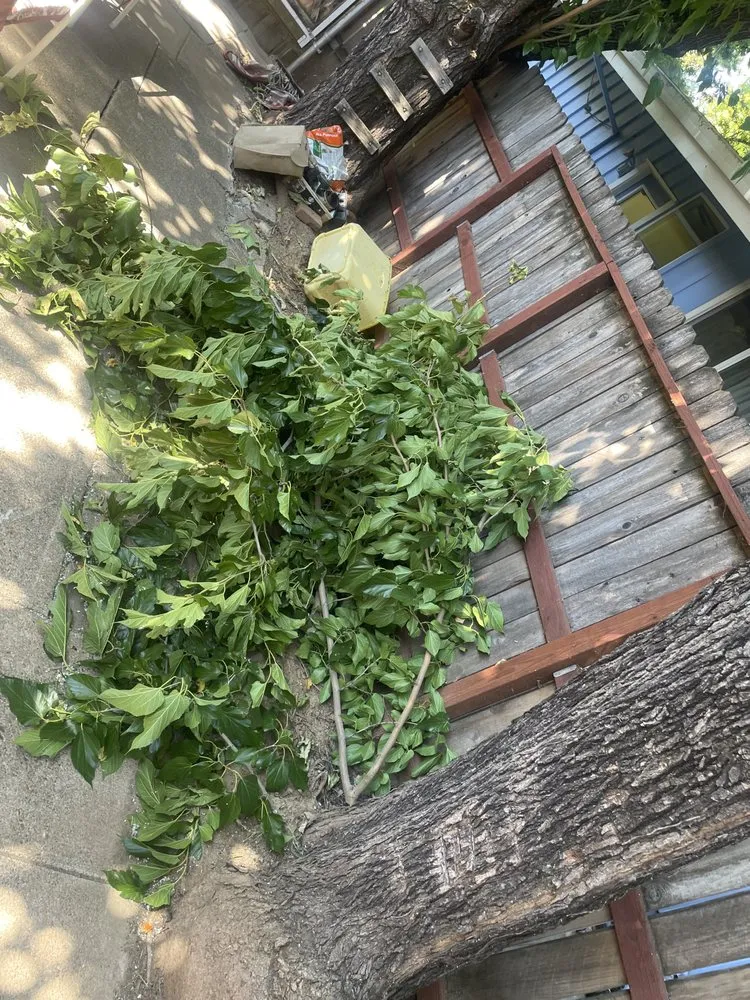 Top-rated outdoor landscaping near you across Redding, CA - Hill’s Precision Landscape