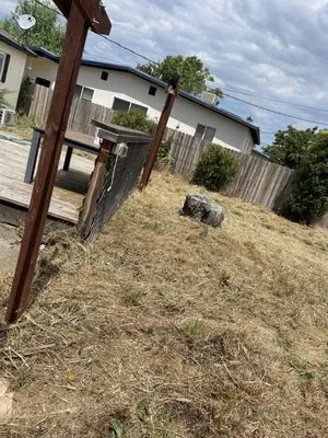 Hill’s Precision Landscape Logo