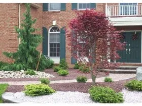 Reliable yard cleanup service in Hillsborough, NJ by Hillsborough Irrigation & Landscape Services