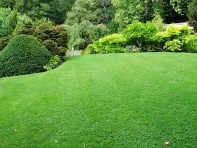 Top-rated landscaping services in Hillsborough, NJ by Hillsborough Irrigation & Landscape Services