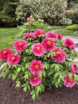 Hillsborough Irrigation & Landscape Services