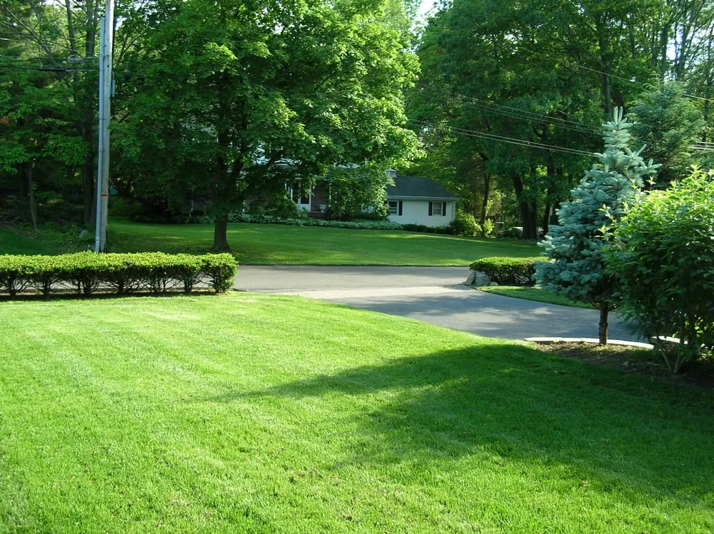 Local landscaping services experts serving Hillsdale, NJ - Hillsdale Landscaping