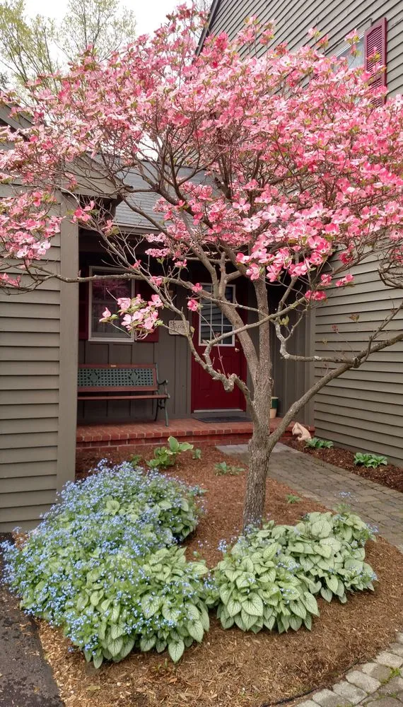 Local lawn care service in Endicott, NY by Hillside Garden Landscaping