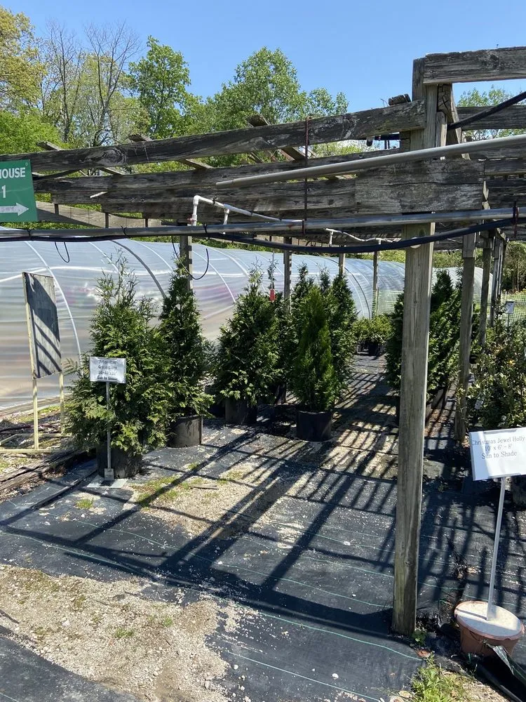 Professional residential landscaping for beautiful yards in Evansville, IN by Hillside Gardens