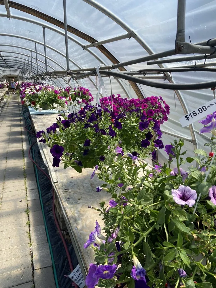 Trusted yard cleanup service in Evansville, IN by Hillside Gardens