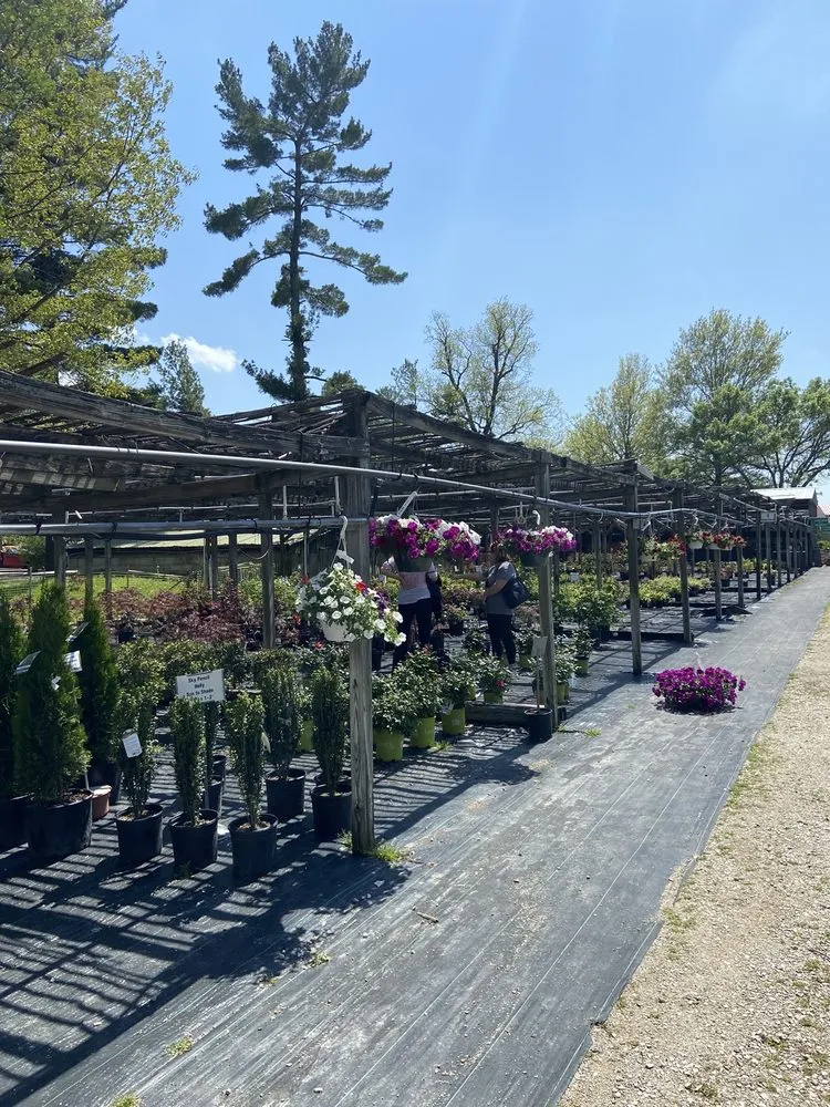 Trusted lawn mowing service experts serving Evansville, IN - Hillside Gardens