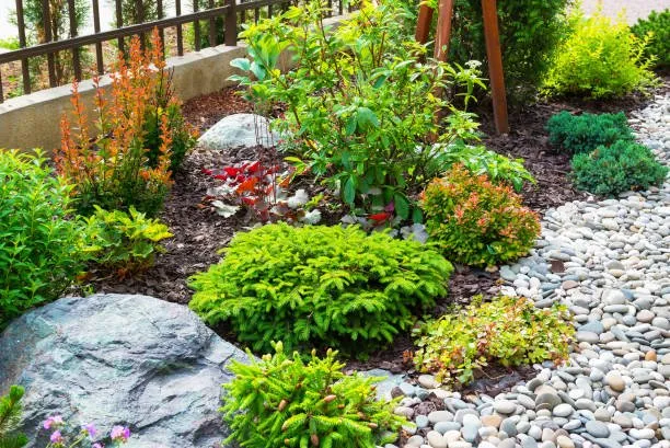 Professional outdoor landscaping experts serving Hesperia, CA - Hillside Landscaping & Irrigation